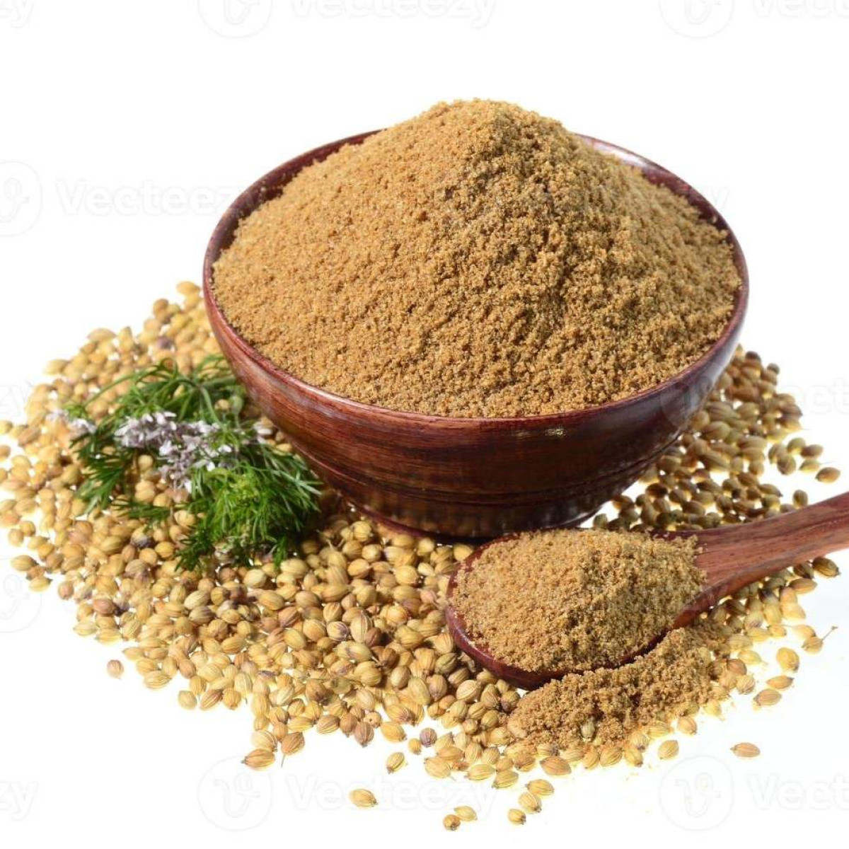 Coriandre moulue dEspagne img2