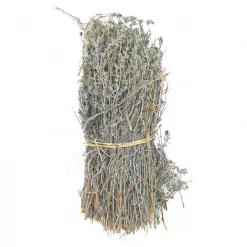 Bouquet de thym Espagne