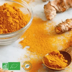 Curcuma bio moulu des Indes img1